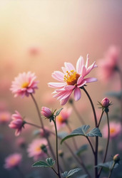 Similar image 22173081