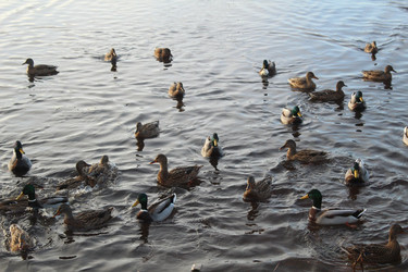 Similar image 22180063