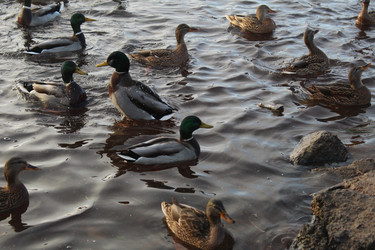 Similar image 22180065