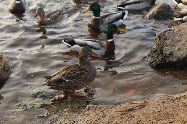 Similar image 22181209