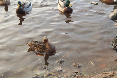 Similar image 22181210