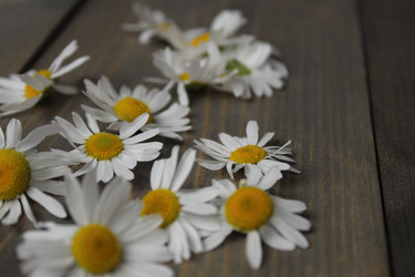 Similar image 22181211