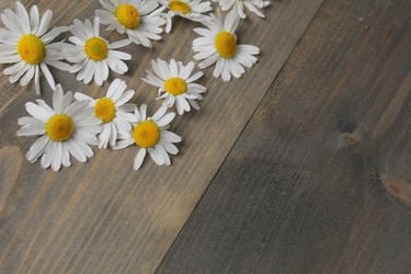 Similar image 22181212