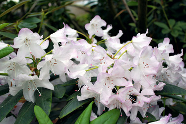 Similar image 22174722