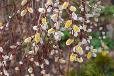 Similar image 22186972