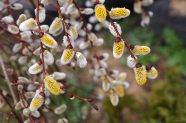 Similar image 22186974