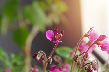 Similar image 22193460