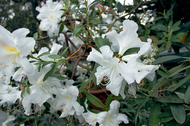 Similar image 22174723