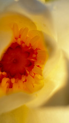 Similar image 22174724