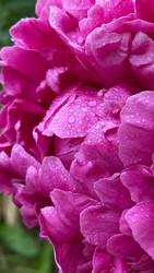 Similar image 22174726