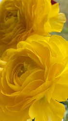 Similar image 22174727