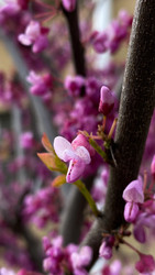 Similar image 22174728