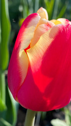 Similar image 22174729