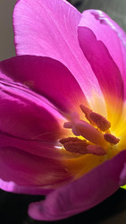 Similar image 22174730