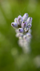 Similar image 22174731