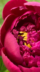 Similar image 22174732