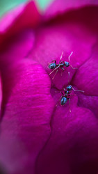 Similar image 22174733