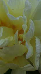 Similar image 22174734