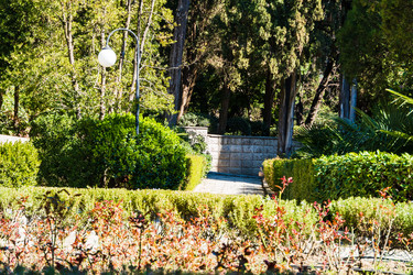 Similar image 22167068