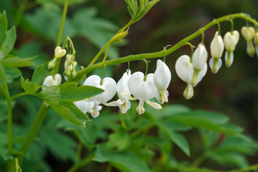 Similar image 22180894