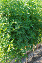 Similar image 22180895