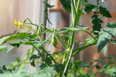 Similar image 22180896