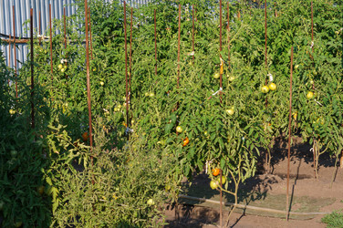 Similar image 22180897