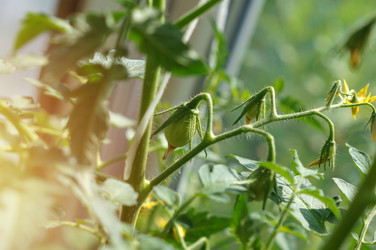 Similar image 22180903