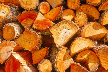 Similar image 22178668