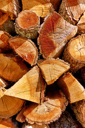 Similar image 22178670