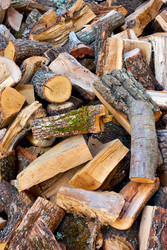 Similar image 22178689