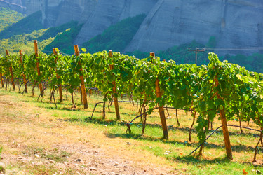 Similar image 22178700