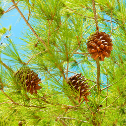 Similar image 22178432