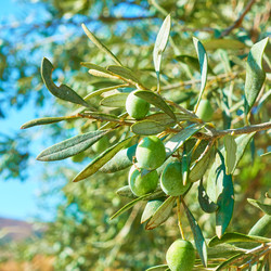 Similar image 22178731