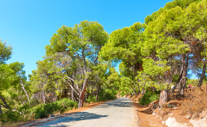 Similar image 22178737