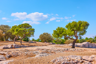 Similar image 22178744