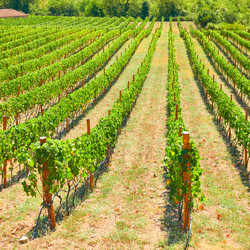 Similar image 22178780