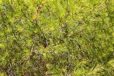 Similar image 22178816