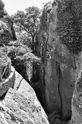 Similar image 22178819