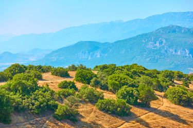 Similar image 22179113