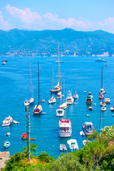 Similar image 22178435