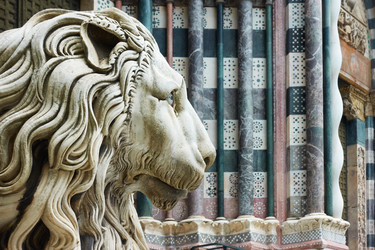 Similar image 22178464