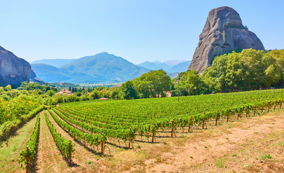 Similar image 22178830