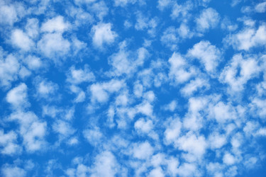 Similar image 22178832