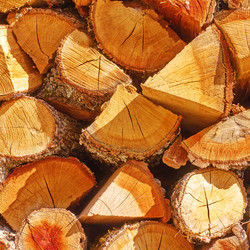 Similar image 22178833