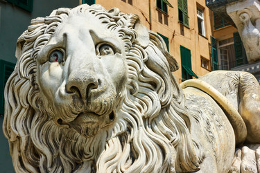 Similar image 22178488