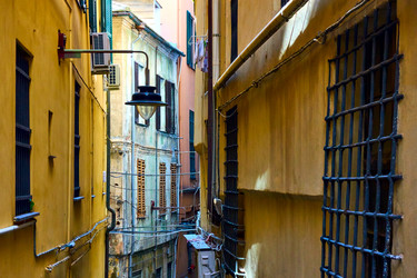 Similar image 22178499