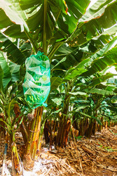 Similar image 22178851