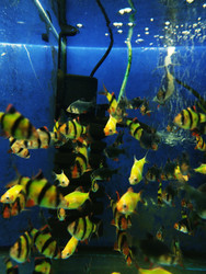 Similar image 22181218