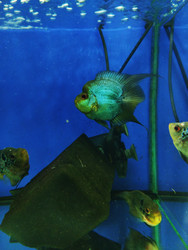 Similar image 22181219